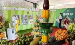 വൈഗാ ശില്പശാലയിലും എക്‌സിബിഷനിലും ഓണ്‍ലൈനായി പങ്കെടുക്കാം