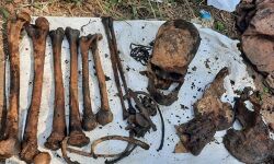 ചമ്രവട്ടം പാലത്തിന് സമീപം മനുഷ്യന്റെ തലയോട്ടിയും എല്ലുകളും കണ്ടെത്തി; പോലിസ് അന്വേഷണം തുടങ്ങി