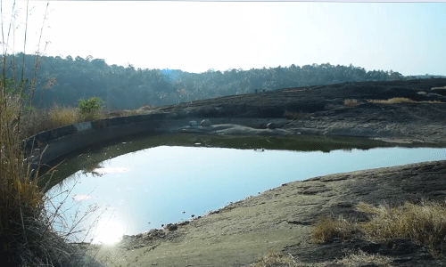 ചെപ്പാറ റോക്ക് ഗാര്‍ഡന്‍ മുഖ്യമന്ത്രി ഉദ്ഘാടനം ചെയ്തു