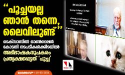 പൂച്ചയല്ല ഞാന്‍ തന്നെ, ലൈവിലുണ്ട്; ടെക്‌സാസില്‍ ഓണ്‍ലൈന്‍ കോടതി നടപടികള്‍ക്കിടയില്‍ അഭിഭാഷകനുപകരം പ്രത്യക്ഷപ്പെട്ടത് പൂച്ച