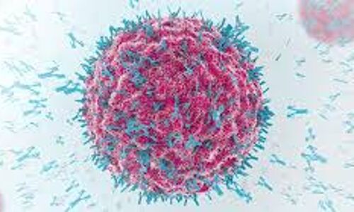 കൊവിഡ് 19: മലപ്പുറം ജില്ലയില്‍ 421 പേര്‍ക്ക് രോഗബാധ; 318 പേര്‍ക്ക് രോഗമുക്തി