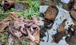 ഭാരതപ്പുഴയില്‍ തലയോട്ടിയും എല്ലുകളും കണ്ടെത്തിയ സംഭവം; മരിച്ചയാളെ തിരിച്ചറിഞ്ഞു; ദുരൂഹതയില്ലെന്ന് പോലിസ്