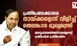 പ്രതിഷേധക്കാരെ നായ്ക്കളെന്ന് വിളിച്ച് തെലങ്കാന മുഖ്യമന്ത്രി; മാപ്പുപറയണമെന്നാവശ്യപ്പെട്ട് പ്രതിപക്ഷ പ്രതിഷേധം