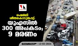 ഷെര്ലി ശീതകൊടുങ്കാറ്റ്: യുഎസില് 300 അപകടം; 9 മരണം ഷെര്ലി ശീതകൊടുങ്കാറ്റ്: യുഎസില് 300 അപകടം; 9 മരണം