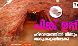 പിങ്ക് ഉപ്പ്: ഹിമാലയത്തില്‍ നിന്നും അടുക്കളയിലേക്ക്