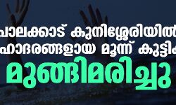 പാലക്കാട് കുനിശ്ശേരിയില്‍ സഹോദരങ്ങളായ മൂന്ന് കുട്ടികള്‍ മുങ്ങിമരിച്ചു