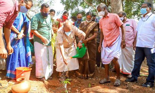 നൂറിനം നാട്ടുമാന്തോപ്പുകള്‍ പദ്ധതിക്ക് തൃശൂരില്‍ തുടക്കമായി  -ആദ്യഘട്ടം തൃശൂര്‍, കണ്ണൂര്‍ ജില്ലകളില്‍