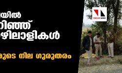 മഹാരാഷ്ട്രയില്‍ ട്രക്ക് മറിഞ്ഞ് 16 തൊഴിലാളികള്‍ മരിച്ചു; അഞ്ച് പേരുടെ നില ഗുരുതരം