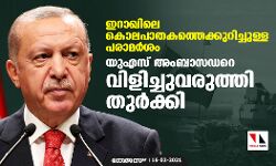 ഇറാഖിലെ കൊലപാതകത്തെക്കുറിച്ചുള്ള പരാമര്‍ശം: യുഎസ് അംബാസഡറെ വിളിച്ചുവരുത്തി തുര്‍ക്കി