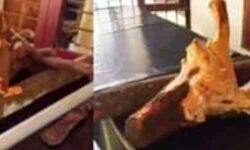 15 കിലോ ചന്ദനത്തടികളുമായി രണ്ടുപേര്‍ പിടിയില്‍