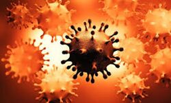 ജനിതകമാറ്റം സംഭവിച്ച കൊവിഡ്: വിദേശത്തുനിന്നെത്തുന്നവര്‍ വിമാനത്താവളങ്ങളില്‍ മോളിക്യുലാര്‍ പരിശോധന നടത്തണമെന്ന് കേന്ദ്രം