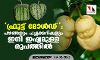 ഫ്രൂട്ട് മോള്‍ഡ് : പഴങ്ങളും പച്ചക്കറികളും ഇനി ഇഷ്ടമുള്ള രൂപത്തില്‍