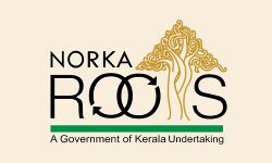 പ്രവാസി മലയാളികളുടെ മക്കള്‍ക്കുള്ള നോര്‍ക്ക റൂട്ട്‌സ് ഡയറക്ടേഴ്‌സ് സ്‌കോളര്‍ഷിപ്പിന് അപേക്ഷ ക്ഷണിച്ചു