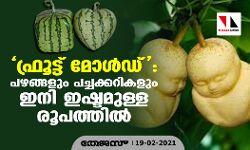 ഫ്രൂട്ട് മോള്‍ഡ് : പഴങ്ങളും പച്ചക്കറികളും ഇനി ഇഷ്ടമുള്ള രൂപത്തില്‍