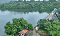 പീച്ചി അണക്കെട്ടില്‍ നിന്ന് വെള്ളം തുറന്ന് വിടും