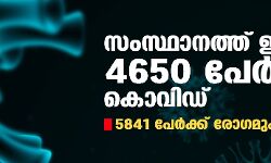 സംസ്ഥാനത്ത് ഇന്ന് 4,650 കൊവിഡ് ബാധിതര്; 5,841 പേര്ക്ക് രോഗമുക്തി സംസ്ഥാനത്ത് ഇന്ന് 4,650 കൊവിഡ് ബാധിതര്; 5,841 പേര്ക്ക് രോഗമുക്തി