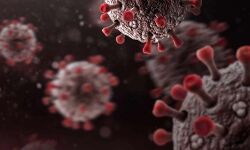 കൊവിഡ്: കുവൈത്തില്‍ റെസ്‌റ്റോറന്റുകളില്‍ ഇരുന്ന് ഭക്ഷണം കഴിക്കുന്നതിന് വിലക്ക്