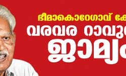 ഭീമാകൊറേ​ഗാവ് കേസ്: വരവര റാവുവിന് ജാമ്യം