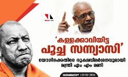 കള്ളക്കാവിയിട്ട പൂച്ച സന്ന്യാസി; യോഗിക്കെതിരേ രൂക്ഷവിമര്‍ശനവുമായി മന്ത്രി എം എം മണി