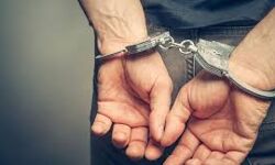 ബില്‍ മാറാന്‍ കൈക്കൂലി; ഫോറസ്റ്റ് റേഞ്ച് ഓഫിസര്‍ അറസ്റ്റില്‍