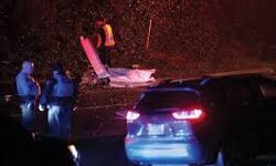 ജോര്‍ജിയയില്‍ വിമാനം തകര്‍ന്ന് മൂന്നു മരണം