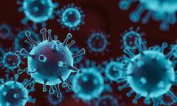 കോട്ടയം ജില്ലയില്‍ ഇന്ന് 279 പേര്‍ക്ക് കൊവിഡ്