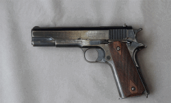 തിരഞ്ഞെടുപ്പ്: ആയുധങ്ങള്‍ സറണ്ടര്‍ ചെയ്യണം