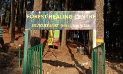 രാജ്യത്തെ ആദ്യ വന- രോഗശാന്തി കേന്ദ്രം ഉത്തരാഖണ്ഡില്‍ പ്രവര്‍ത്തനമാരംഭിച്ചു