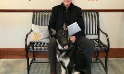 യുഎസ് പ്രസിഡന്റിന്റെ വളര്‍ത്തുനായ സുരക്ഷാ ജീവനക്കാരനെ കടിച്ചു: നായയെ നാടുകടത്തി