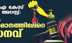 യുഎപിഎ കേസ് ചുമത്തി അറസ്റ്റ്: 2019ല്‍ 72 ശതമാനത്തിലേറെ വര്‍ധനവ്