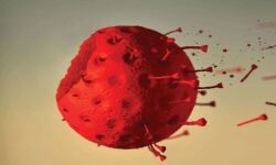 കോഴിക്കോട് ജില്ലയില്‍ 341 പേര്‍ക്ക് കൊവിഡ്; രോഗമുക്തി 519