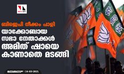 ബിജെപി നീക്കം പാളി; യാക്കോബായ സഭാ നേതാക്കള്‍ അമിത് ഷായെ കാണാതെ മടങ്ങി