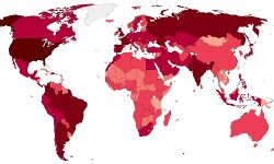 ലോകത്ത് കൊവിഡ് രോഗികളുടെ എണ്ണം ഉയരുന്നു; അമേരിക്കയിൽ മാത്രം മൂന്ന് കോടി രോഗബാധിതർ