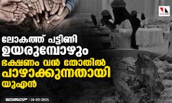 ലോകത്ത് പട്ടിണി ഉയരുമ്പോഴും ഭക്ഷണം വന്‍ തോതില്‍ പാഴാക്കുന്നതായി യുഎന്‍