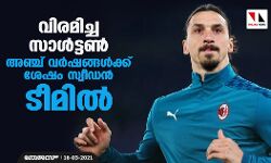 വിരമിച്ച സാള്‍ട്ടണ്‍ അഞ്ച് വര്‍ഷങ്ങള്‍ക്ക് ശേഷം സ്വീഡന്‍ ടീമില്‍