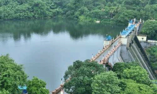 പീച്ചി ഡാം: വലതുകര കനാല് മാര്ച്ച് 22 നും ഇടതുകര കനാല് ഏപ്രില് ഒന്നിനും തുറക്കും പീച്ചി ഡാം: വലതുകര കനാല് മാര്ച്ച് 22 നും ഇടതുകര കനാല് ഏപ്രില് ഒന്നിനും തുറക്കും