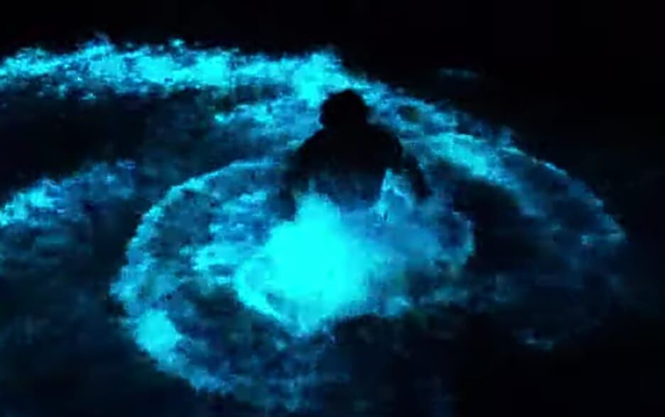 കാഴ്ചയുടെ വസന്തമൊരുക്കി ചെന്തുരുത്തി ഫയര്‍ സ്‌റ്റേഷന് പിന്‍വശത്തെ തോട്ടില്‍ കവര് പൂത്തു