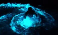 കാഴ്ചയുടെ വസന്തമൊരുക്കി ചെന്തുരുത്തി ഫയര്‍ സ്‌റ്റേഷന് പിന്‍വശത്തെ തോട്ടില്‍ കവര് പൂത്തു