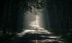 മൈസുരു ഹൈവേയില് മലയാളികളെ ആക്രമിച്ച് കോടി രൂപ കവര്ന്നു മൈസുരു ഹൈവേയില് മലയാളികളെ ആക്രമിച്ച് കോടി രൂപ കവര്ന്നു