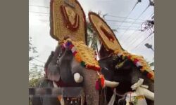 ആനകളുടെ തലപ്പൊക്കമത്സരം നടത്തിയ പാപ്പാന്‍മാര്‍ക്കെതിരെ കേസ്