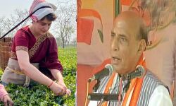 പ്രധാനമന്ത്രിയെ ചായക്കടക്കാരന്‍ എന്ന് പരിഹസിച്ചവര്‍ ഇപ്പോള്‍ തേയില നുള്ളുന്നു; പ്രിയങ്കഗാന്ധിയെ പരിഹസിച്ച് രാജ്‌നാഥ് സിങ്