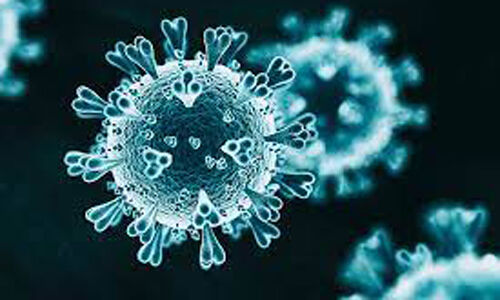 എറണാകുളം ജില്ലയില്‍ ഇന്ന് 188 പേര്‍ക്ക് കൊവിഡ്