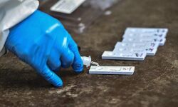 ജനിതകമാറ്റം സംഭവിച്ച കൊവിഡ് വൈറസ് കേരളത്തിലെ 11 ജില്ലകളിലും കണ്ടെത്തി