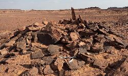 6300 เดตเดฐเตโเดทเด เดฎเตเดฎเตเดชเตเดคเดจเตเดจเต เด
เดฑเตเดฌเตเดฏเดฏเดฟเดฒเตโ เดจเดพเดฏเตเดเตเดเดณเตโ เดฎเดจเตเดทเตเดฏเดฐเตเดเตเดชเตเดชเด เดเตเดตเดฟเดเตเดเดคเดฟเดจเตเดฑเต เดคเตเดณเดฟเดตเตเดฎเดพเดฏเดฟ เดชเตเดฐเดพเดตเดธเตเดคเต เดธเดเดเด 6300 เดตเดฐเตโเดทเด เดฎเตเดฎเตเดชเตเดคเดจเตเดจเต เด
เดฑเตเดฌเตเดฏเดฏเดฟเดฒเตโ เดจเดพเดฏเตเดเตเดเดณเตโ เดฎเดจเตเดทเตเดฏเดฐเตเดเตเดชเตเดชเด เดเตเดตเดฟเดเตเดเดคเดฟเดจเตเดฑเต เดคเตเดณเดฟเดตเตเดฎเดพเดฏเดฟ เดชเตเดฐเดพเดตเดธเตเดคเต เดธเดเดเด