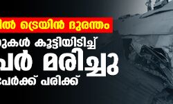 เดเดเดฟเดชเตเดคเดฟเดฒเตโ เดเตเดฐเตเดฏเดฟเดจเตโ เดฆเตเดฐเดจเตเดคเด; เดเตเดฐเตเดฏเดฟเดจเตเดเดณเตโ เดเตเดเตเดเดฟเดฏเดฟเดเดฟเดเตเดเต 32 เดชเตเดฐเตโ เดฎเดฐเดฟเดเตเดเต, 66 เดชเตเดฐเตโเดเตเดเต เดชเดฐเดฟเดเตเดเต เดเดเดฟเดชเตเดคเดฟเดฒเตโ เดเตเดฐเตเดฏเดฟเดจเตโ เดฆเตเดฐเดจเตเดคเด; เดเตเดฐเตเดฏเดฟเดจเตเดเดณเตโ เดเตเดเตเดเดฟเดฏเดฟเดเดฟเดเตเดเต 32 เดชเตเดฐเตโ เดฎเดฐเดฟเดเตเดเต, 66 เดชเตเดฐเตโเดเตเดเต เดชเดฐเดฟเดเตเดเต