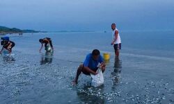 ശ്രീലങ്കന്‍ നേവിയുടെ പിടിയിലായ 54 മല്‍സ്യത്തൊഴിലാളികളെ മോചിപ്പിക്കുക; രാമേശ്വരത്ത് മല്‍സ്യത്തൊഴിലാളികള്‍ തിരഞ്ഞെടുപ്പ് ബഹിഷ്‌കരിക്കുന്നു