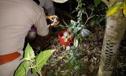 അഴിയൂരില് കരുവയലില് ആര്എസ്എസ് കേന്ദ്രത്തില്നിന്ന് വന് ബോംബ് ശേഖരം പിടികൂടി; നാട്ടുകാര് ഭീതിയില് അഴിയൂരില് കരുവയലില് ആര്എസ്എസ് കേന്ദ്രത്തില്നിന്ന് വന് ബോംബ് ശേഖരം പിടികൂടി; നാട്ടുകാര് ഭീതിയില്