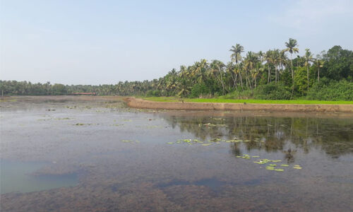 മാള തച്ചുപറമ്പ് വട്ടക്കുളം പദ്ധതി എങ്ങുമെത്തിയില്ല