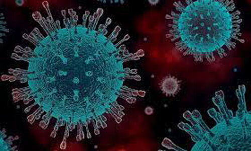 എറണാകുളം ജില്ലയില് ഇന്ന് 220 പേര്ക്ക് കൊവിഡ് എറണാകുളം ജില്ലയില് ഇന്ന് 220 പേര്ക്ക് കൊവിഡ്