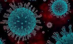 എറണാകുളം ജില്ലയില് ഇന്ന് 220 പേര്ക്ക് കൊവിഡ് എറണാകുളം ജില്ലയില് ഇന്ന് 220 പേര്ക്ക് കൊവിഡ്